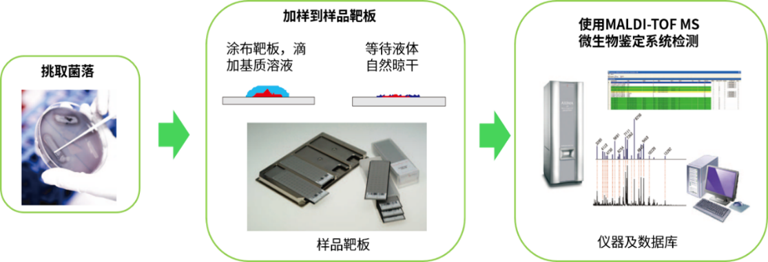 系统