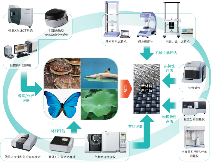 利用仿生学进行的研究开发和实用化相关的分析计测仪器示例